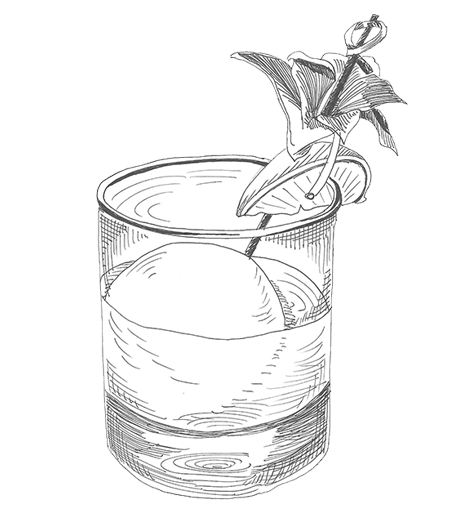 Gin Tonic cocktail at the LAB