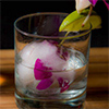 World’s 22 Best Secret Bars